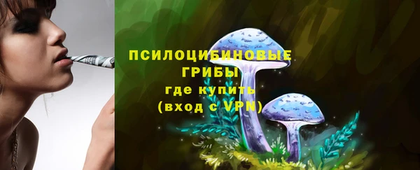каннабис Богданович