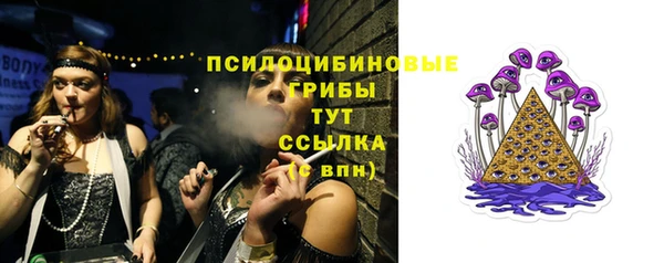 стафф Белокуриха